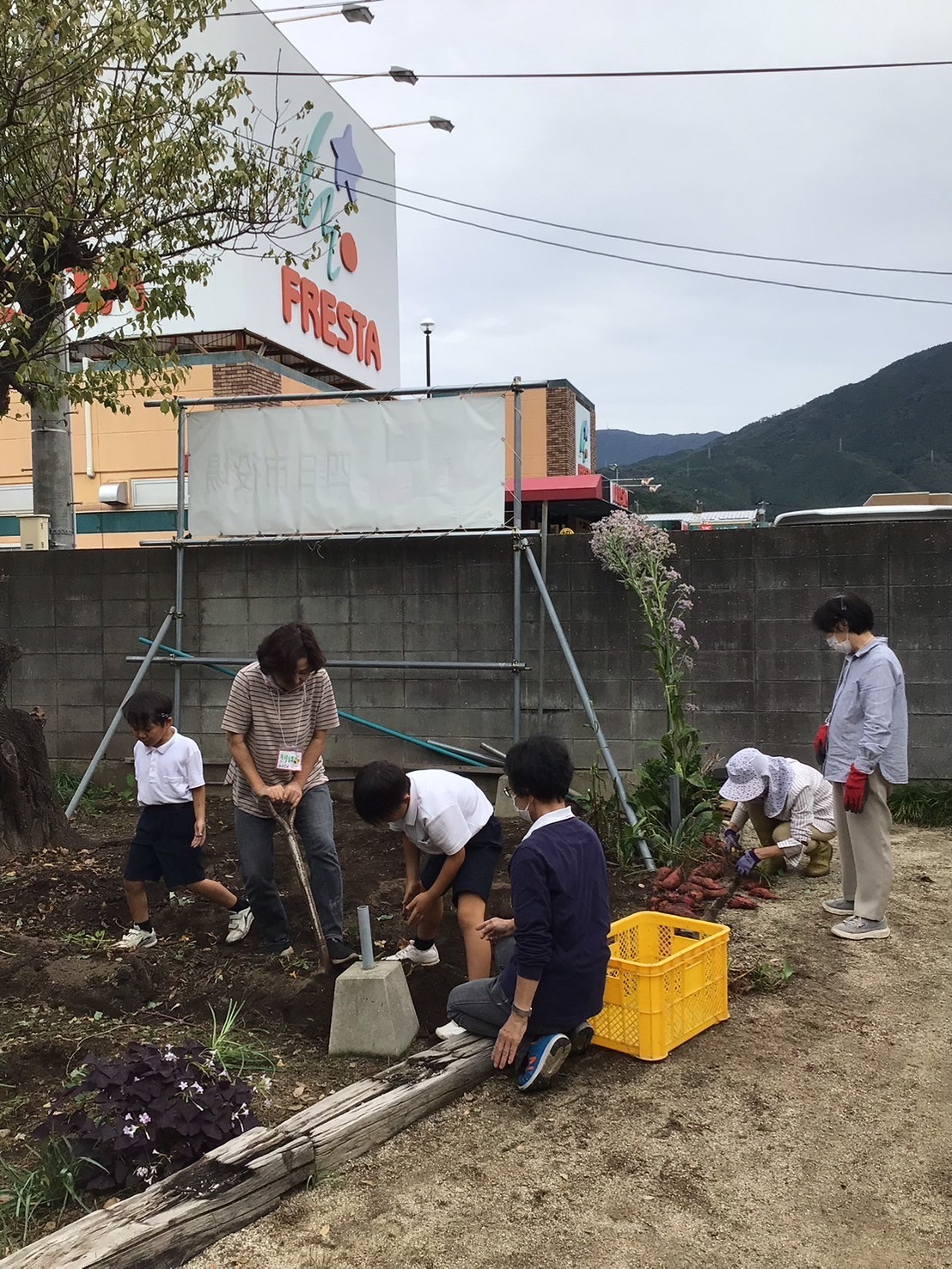 芋ほり